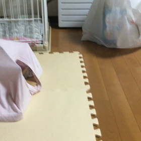 猫がよくやるやつやってみた|ω･)の画像