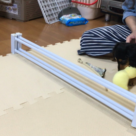 ハードルはお好きですか？？の画像