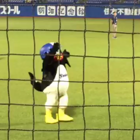 虹♪の画像