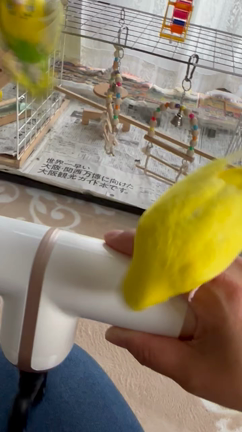 マッサージガンの音で…スイッチ？の記事動画