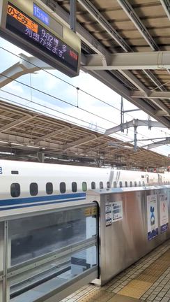 田舎に行ってます、8月11日火曜日祝、2026の記事動画