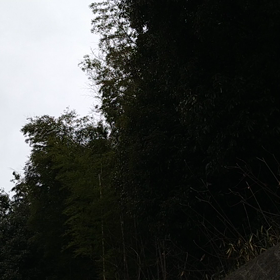 今日は世界気象の日の画像