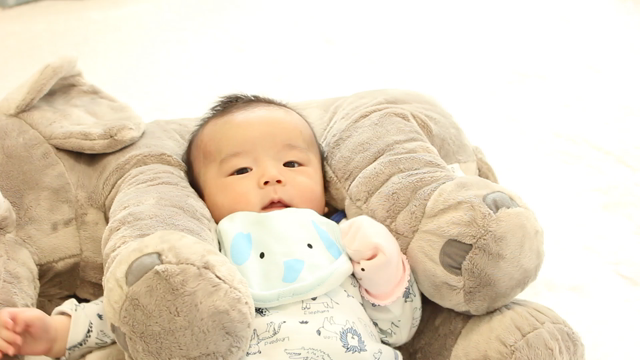 【動画あり】朝から赤ちゃん癒し動画の記事動画