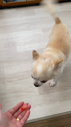 おはようございます！の記事動画