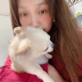 ドラマの画像