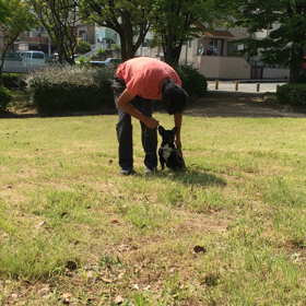 訓練の画像