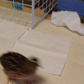 ヨーちゃん頑張ったね(*≧∇≦)ﾉの画像