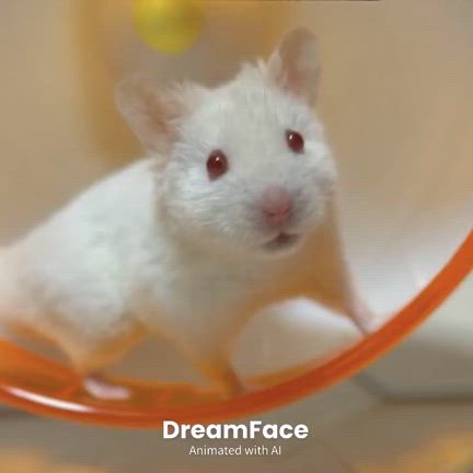 WANDSの記事動画