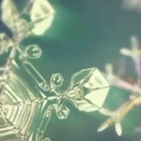 結晶化の画像