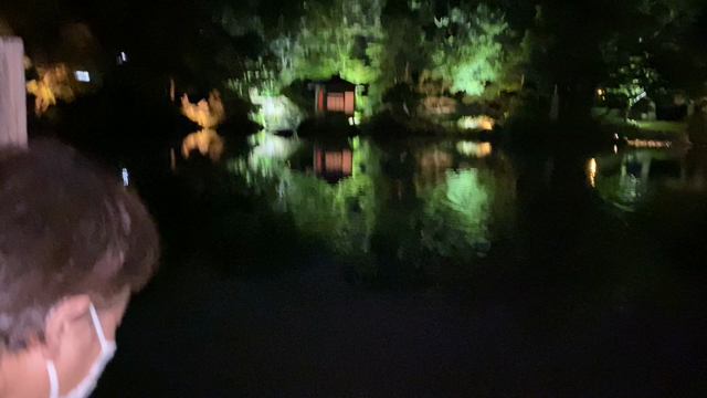 念願のライトアップ！の記事動画