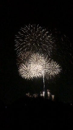 夏の記事動画