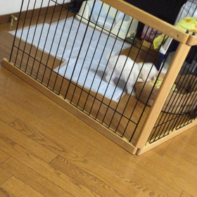 1人遊びの画像