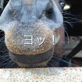 挨拶の画像