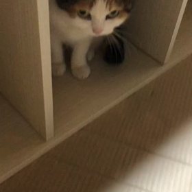おひとり様休日の画像