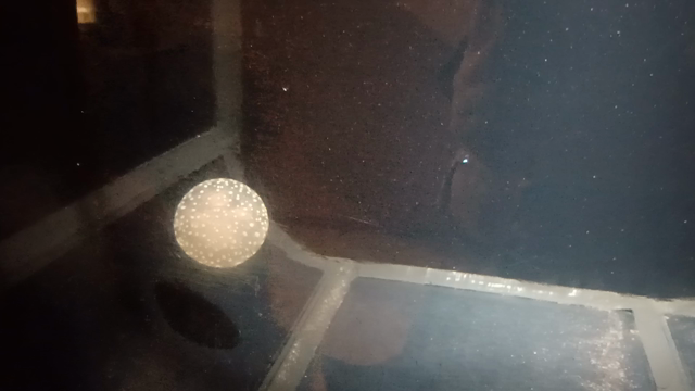 太地町立くじらの博物館。マリナリュウムは深海みたい。の記事動画