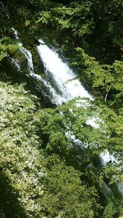 日本地図•ぬり絵の旅 中禅寺湖と華厳の滝の記事動画