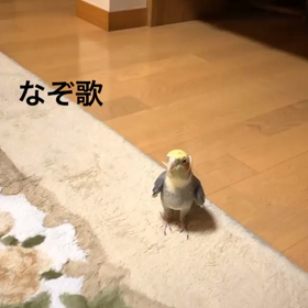 てすとの画像