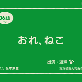 観れるかどうか分かりませんが…   おれ、ねこの画像