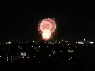 花火大会♪の記事動画