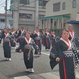 よさこい祭の画像