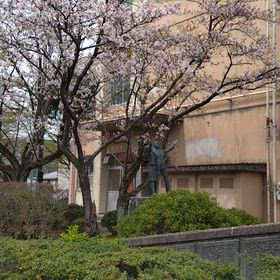 外界に違和感の画像