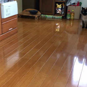 にゃん暦　にゃんリーガーへの道　修行編の画像