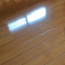 にゃん暦 甘えん坊のしまの画像