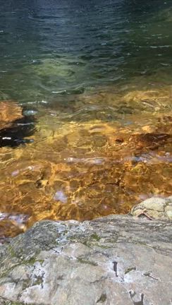 自然の一部にもどるような感覚の記事動画