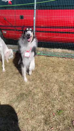 2024　REDJASPER　1年可愛がってくれてありがとう会　inキャンフェスの記事動画