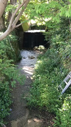 透明の記事動画
