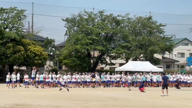 1,124日目のお弁当の記事動画