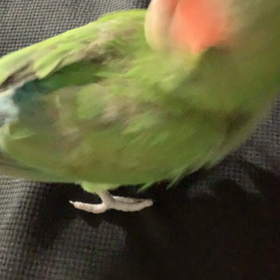 おいっすぅ〜の画像