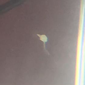 まだまだ冬眠中と我が家のペットの画像