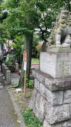 久しぶりにの記事動画