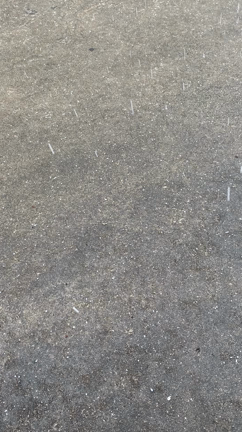寒すぎて(>_<。)の記事動画