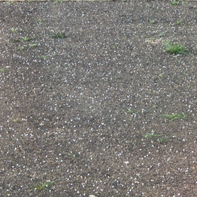 雹に大はしゃぎの画像