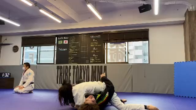 柔術DAYの記事動画