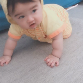 お座り！！の画像