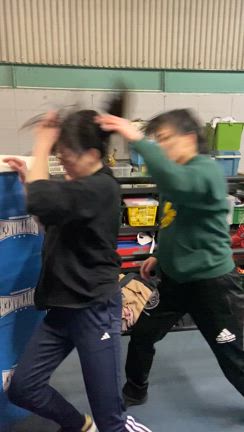生まれて初めてのリング場への記事動画