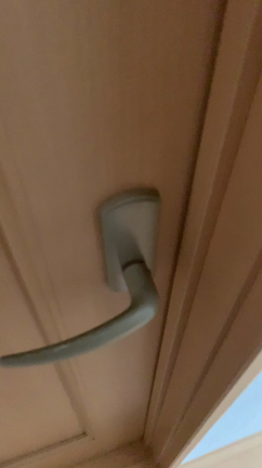 朝のご挨拶の記事動画