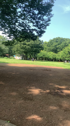 ランニングのきっかけになるか？の記事動画