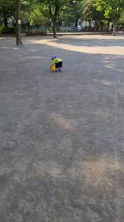午後はの記事動画