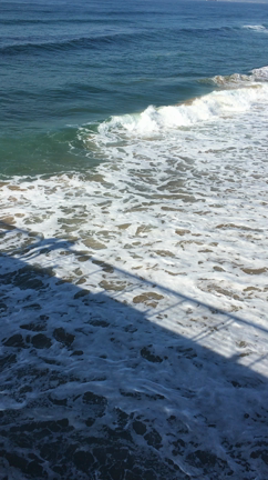 Hermosa beach !!の記事動画