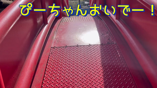 G.Wの記事動画
