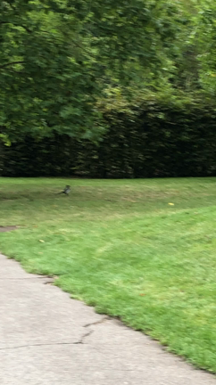 イギリス、また行く日までの記事動画