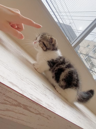 黒豆ちゃん✨の記事動画