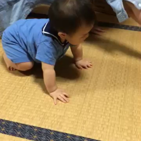 ハイハイ記念品の画像