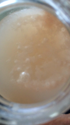 桜の甘酒酵母／はちみつレモン食パン／塩キャベツの記事動画