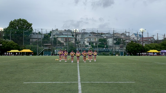 2019年度ラグビー祭対慶應義塾大学戦の記事動画