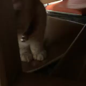 ♪日常♪の画像